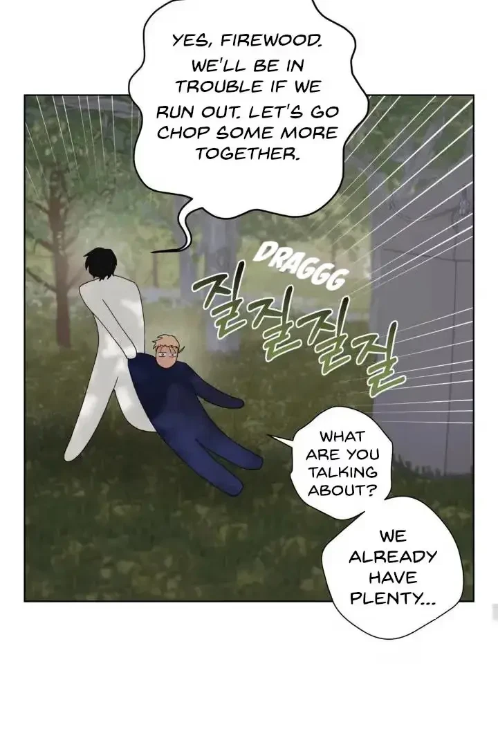 Chapter 3, page 66