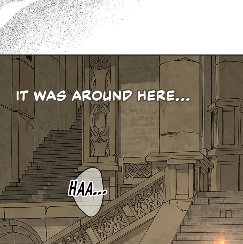 Chapter 2.1, page 110