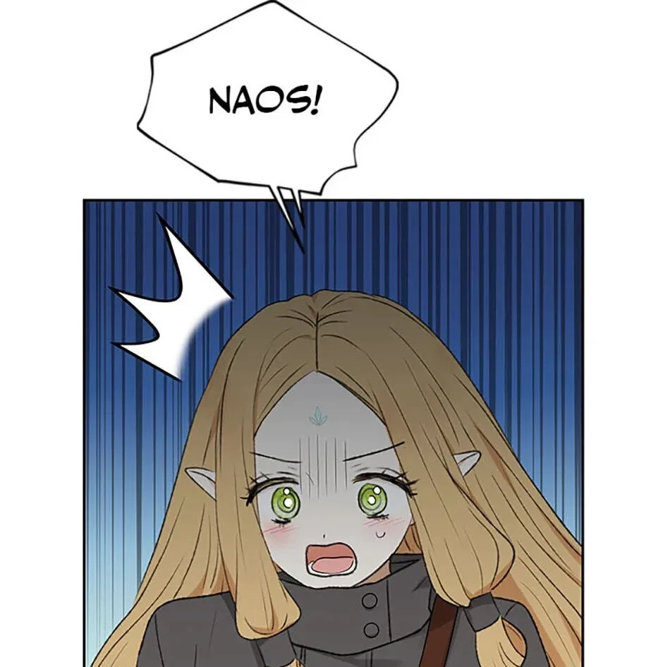 Chapter 2.1, page 114