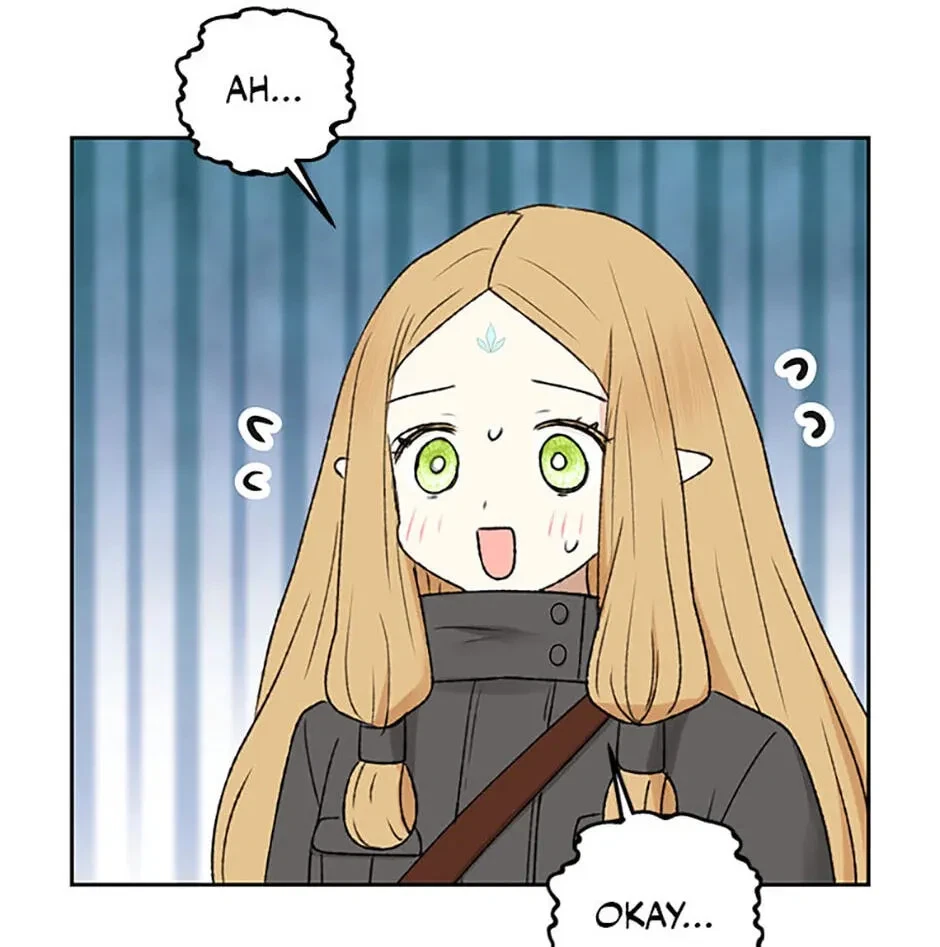 Chapter 2.1, page 15