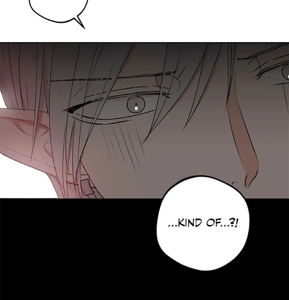 Chapter 2.1, page 67