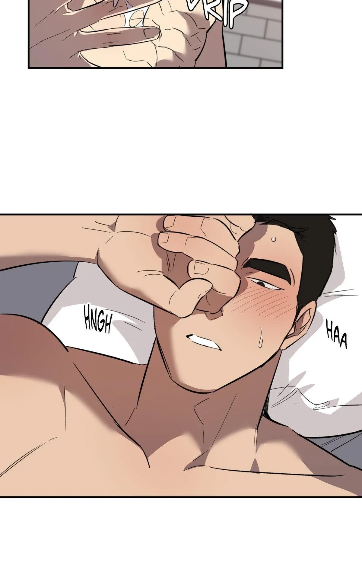 Side.5, page 43
