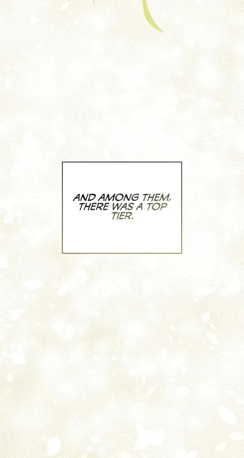 Chapter 2, page 24
