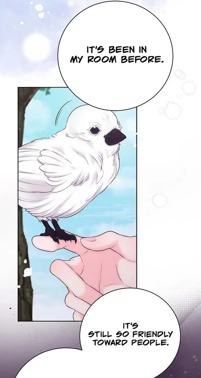Chapter 92, page 62
