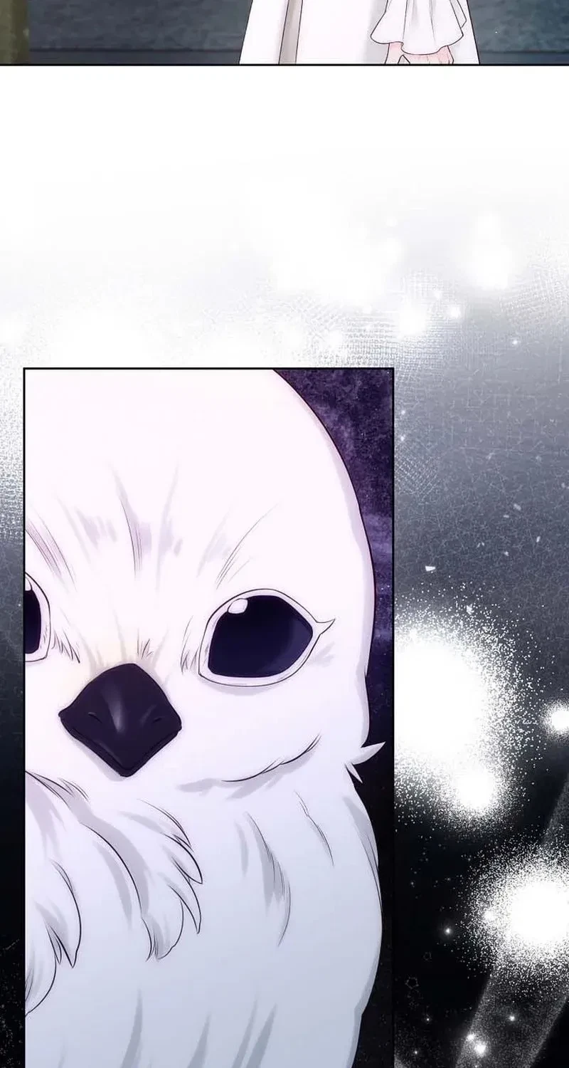 Chapter 92, page 66