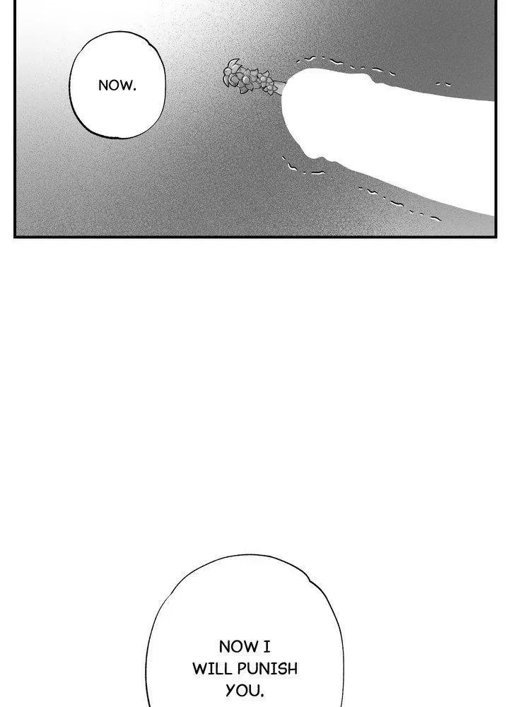 Chapter 2, page 25
