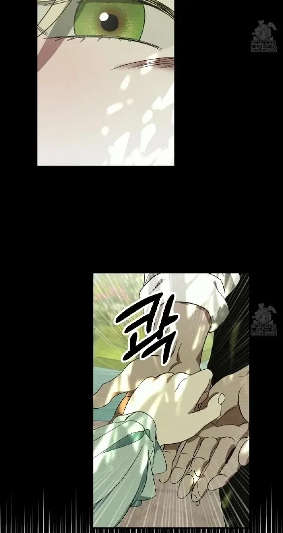 Chapter 3, page 17