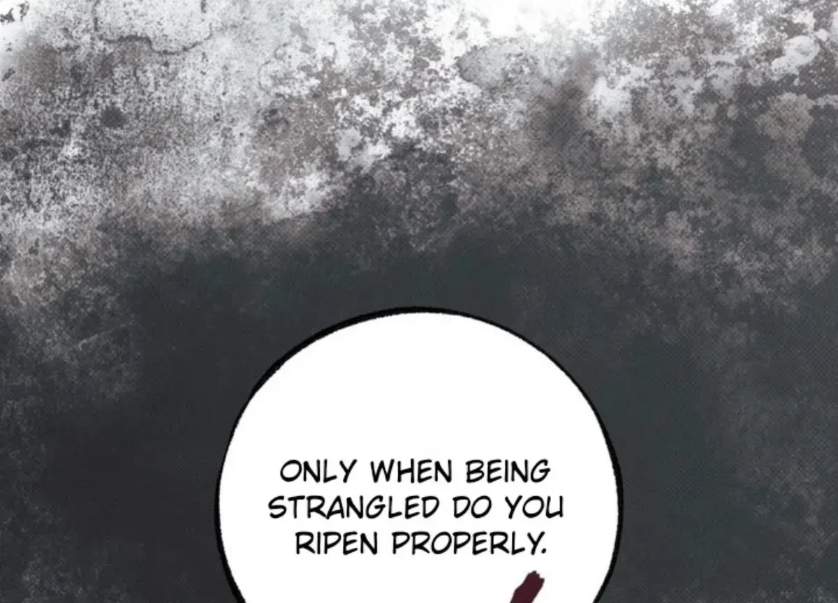 Chapter 1.4, page 29