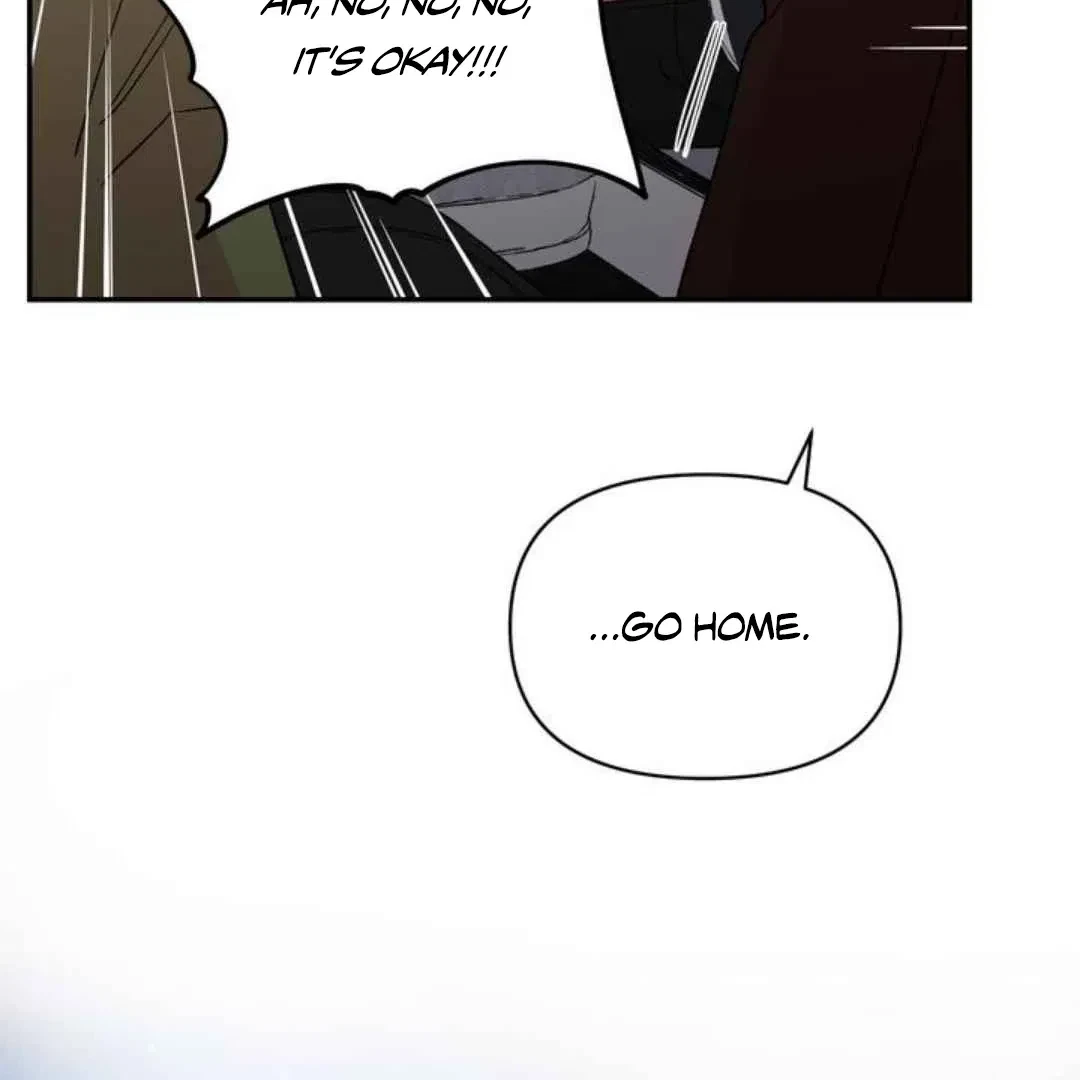 Chapter 4, page 102