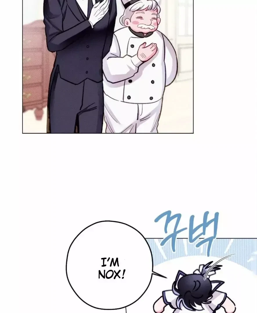 Chapter 3, page 64