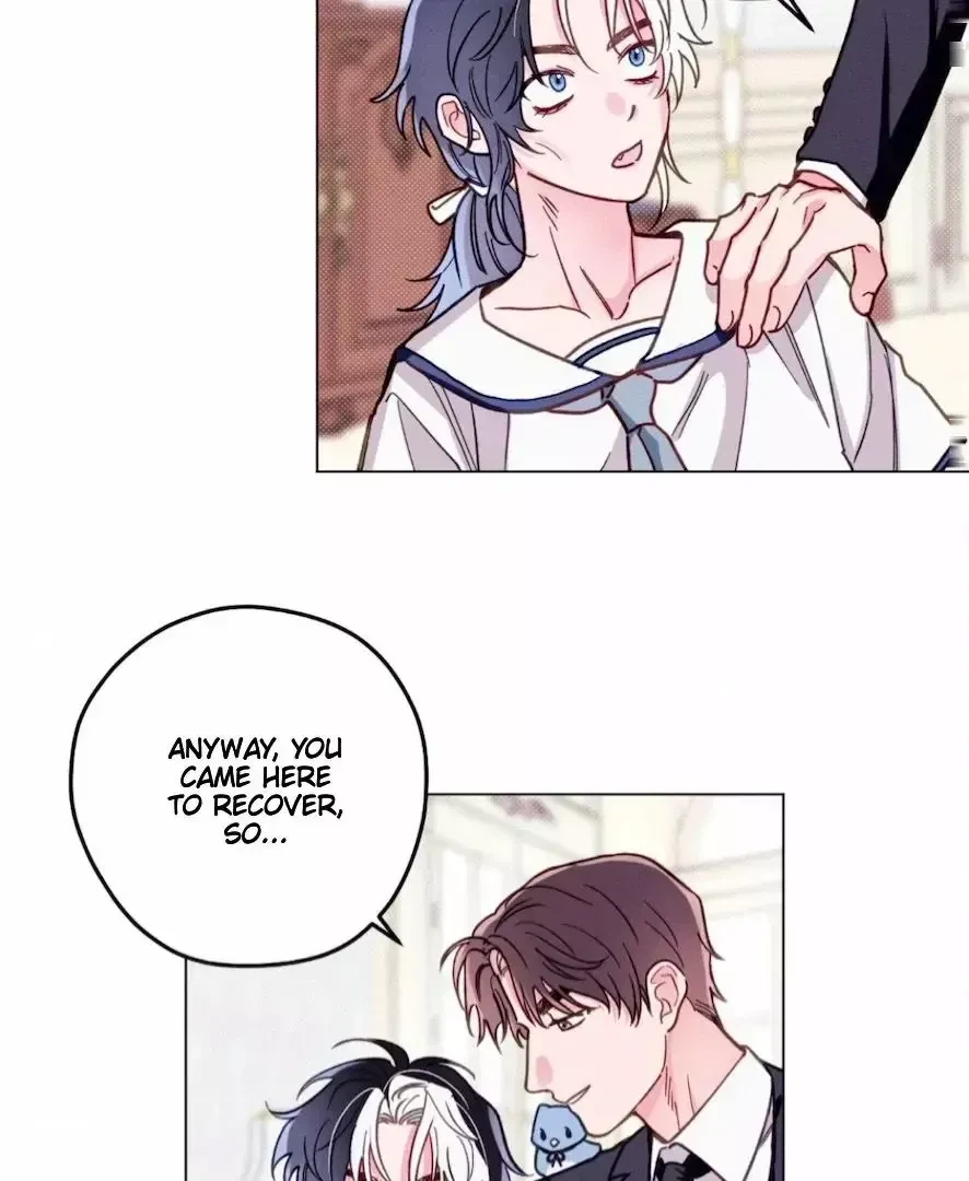 Chapter 3, page 67
