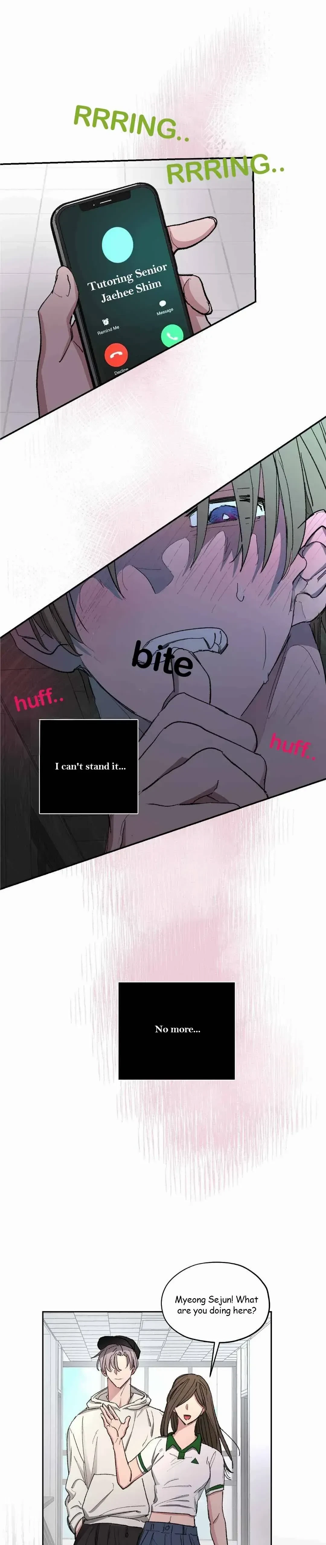 Chapter 3, page 17