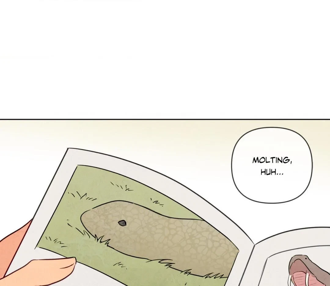 Chapter 22, page 79