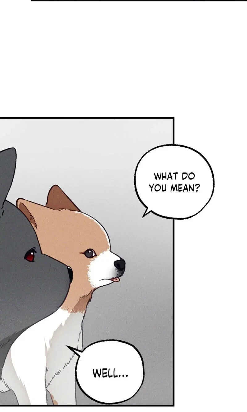 Chapter 41, page 11