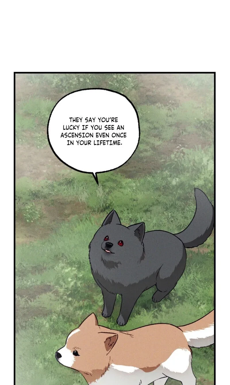 Chapter 41, page 8