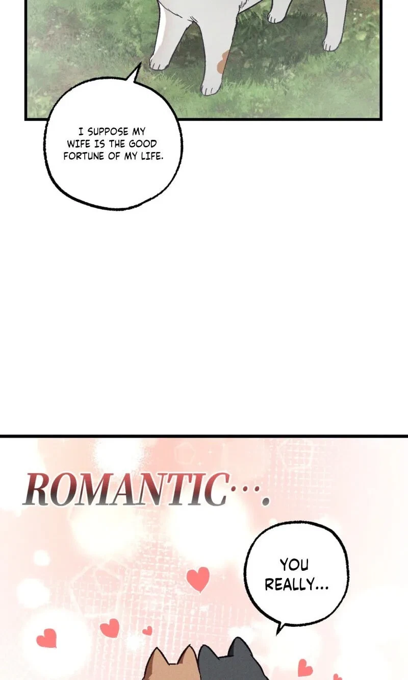 Chapter 41, page 9