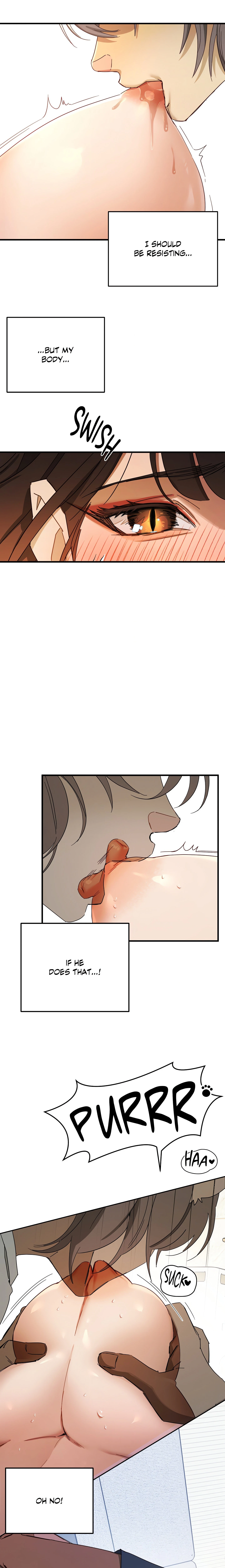 Chapter 3, page 13