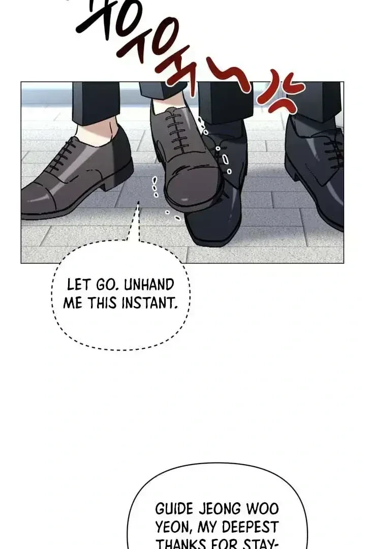 Chapter 1.8, page 17