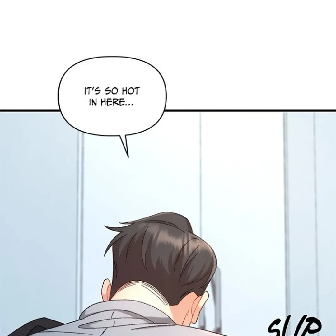 Chapter 2, page 52