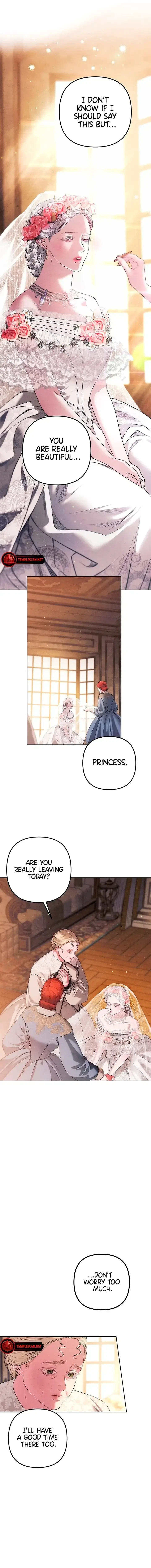 Chapter 0.5, page 8
