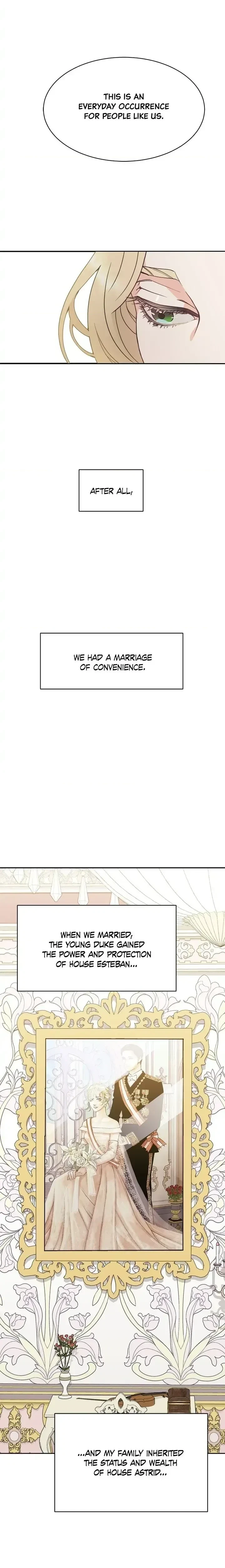 Chapter 1, page 17