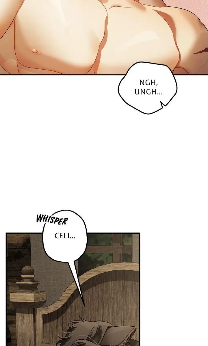 Chapter 29, page 61