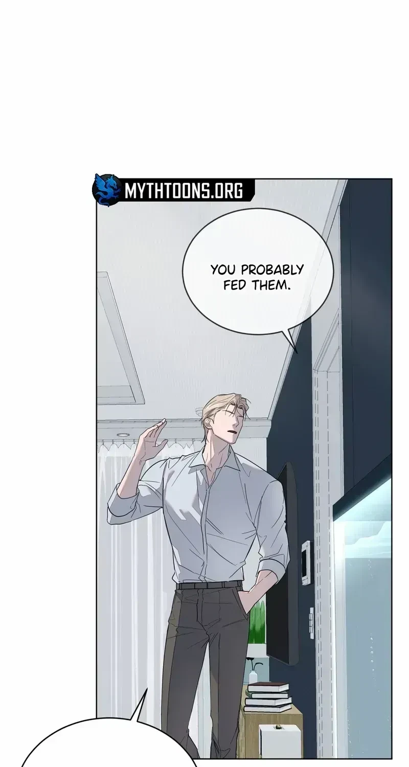 Chapter 1.2, page 85