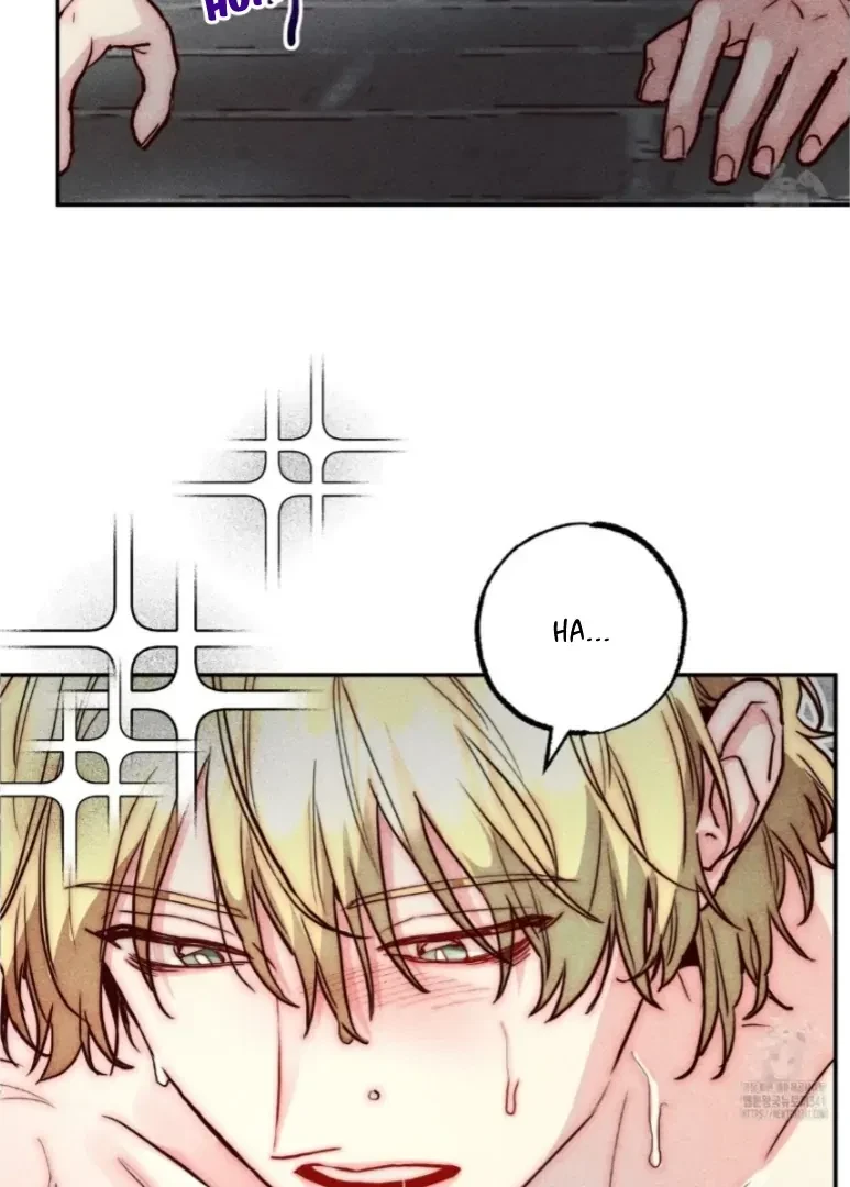 Chapter 5, page 15