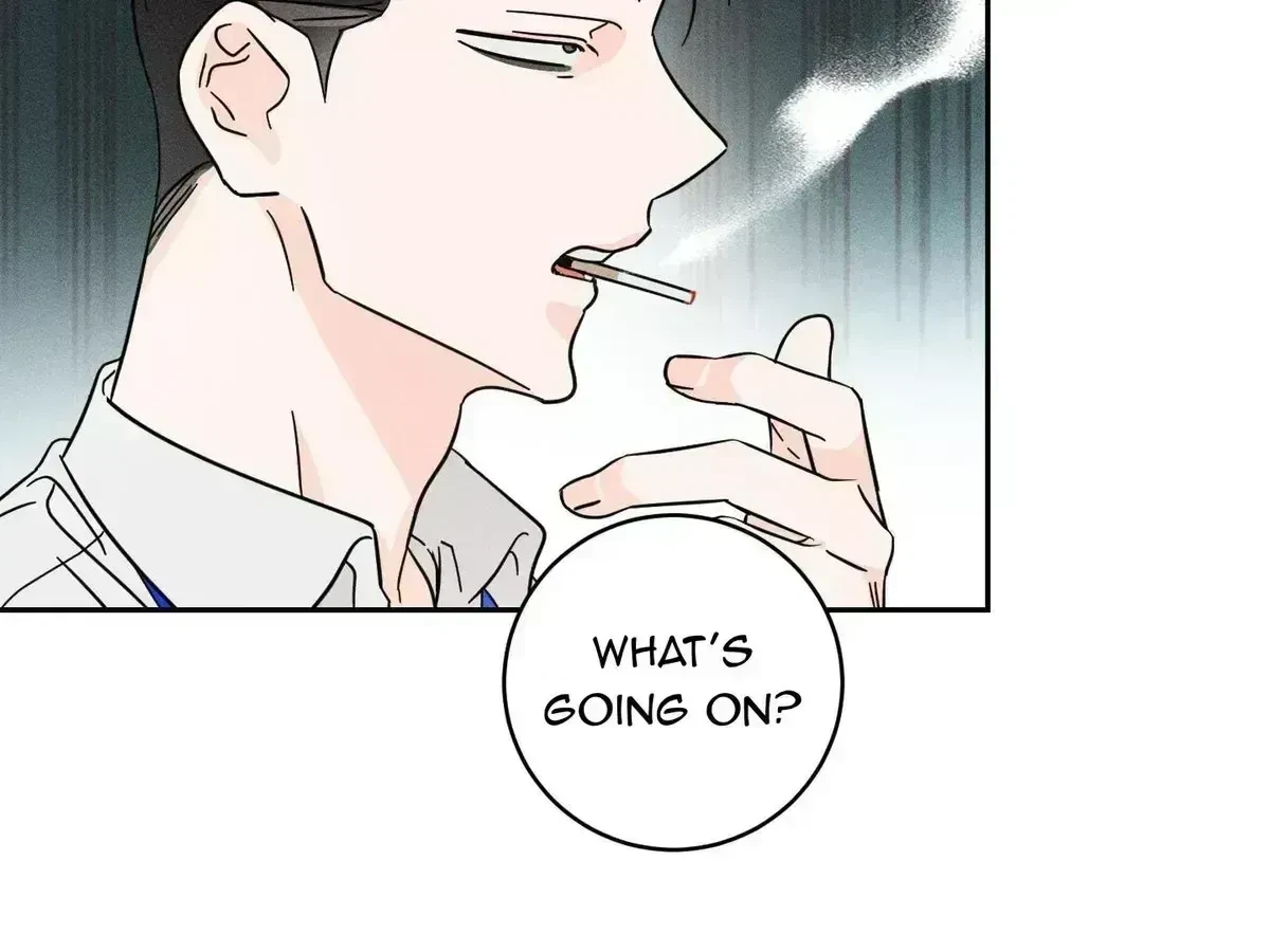 Chapter 1.8, page 39