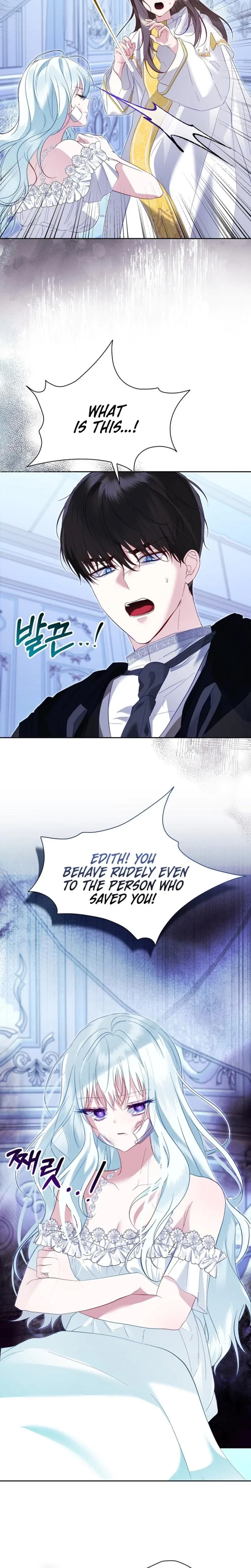 Chapter 4, page 25