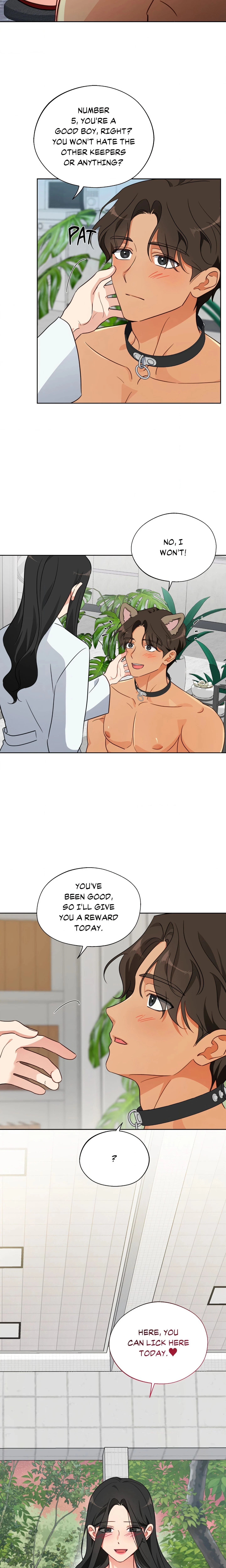 Chapter 5, page 17