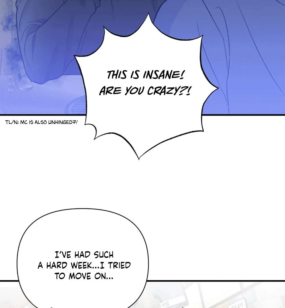 Chapter 4, page 102
