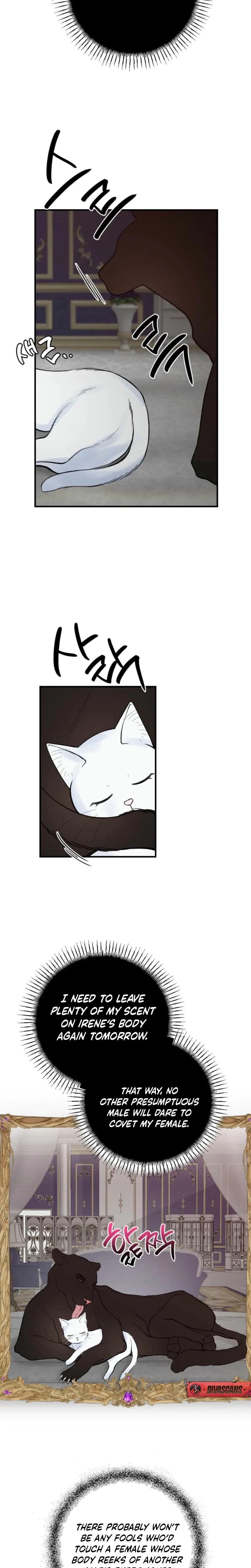 Chapter 3, page 14