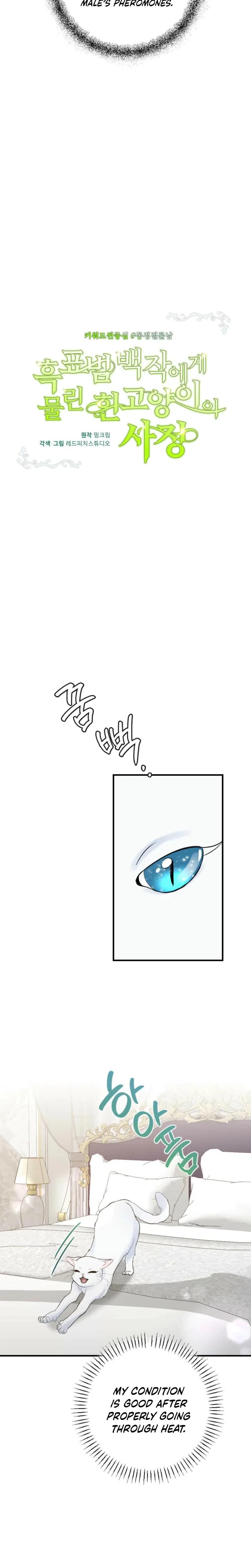 Chapter 3, page 15