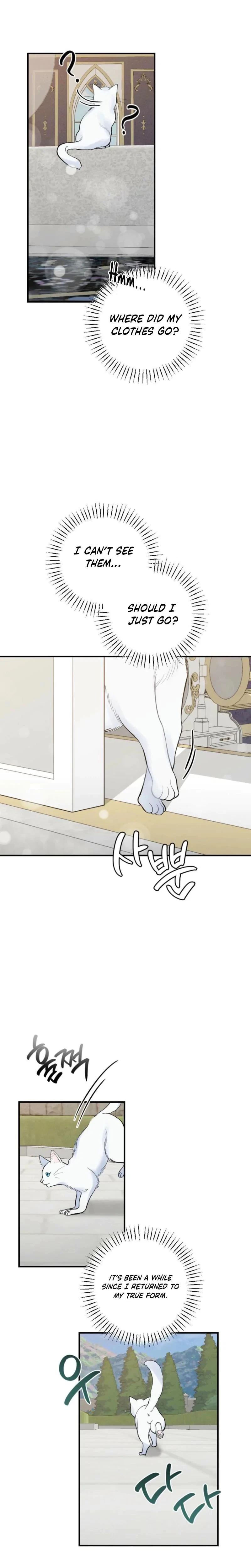 Chapter 3, page 16