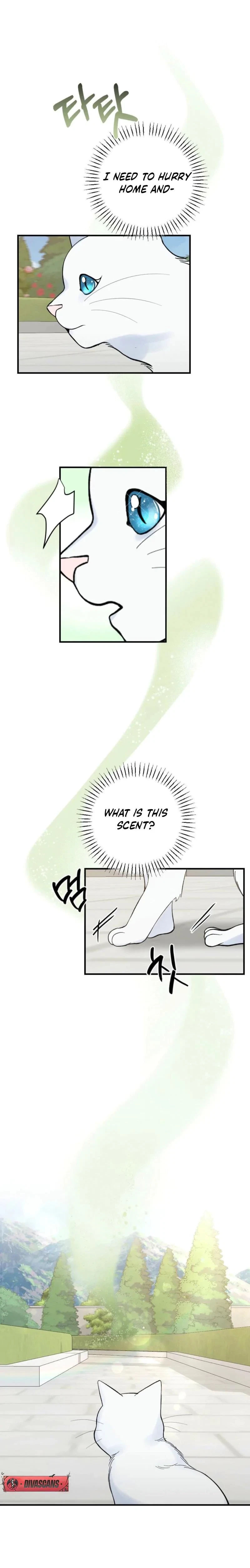 Chapter 3, page 17