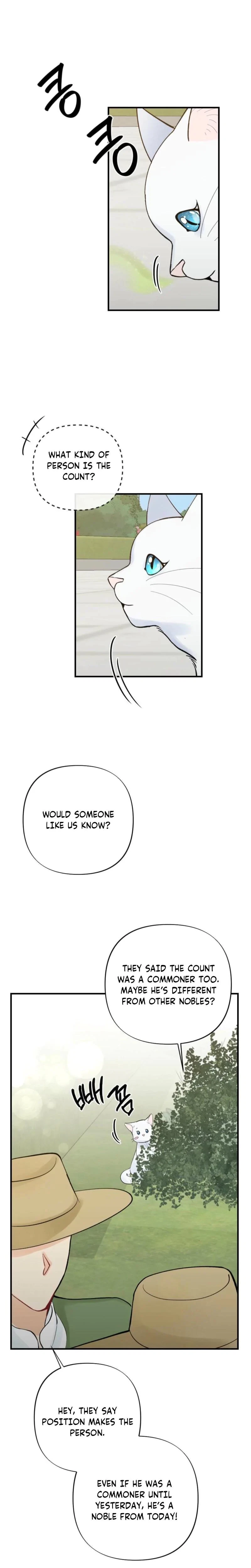 Chapter 3, page 18