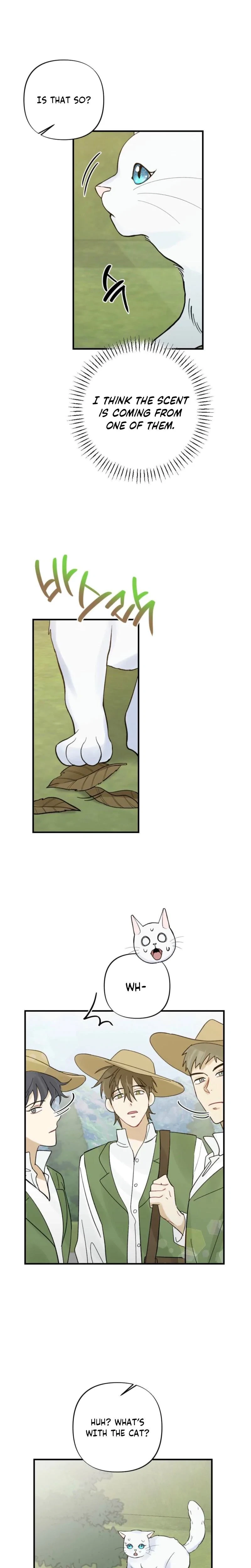 Chapter 3, page 19