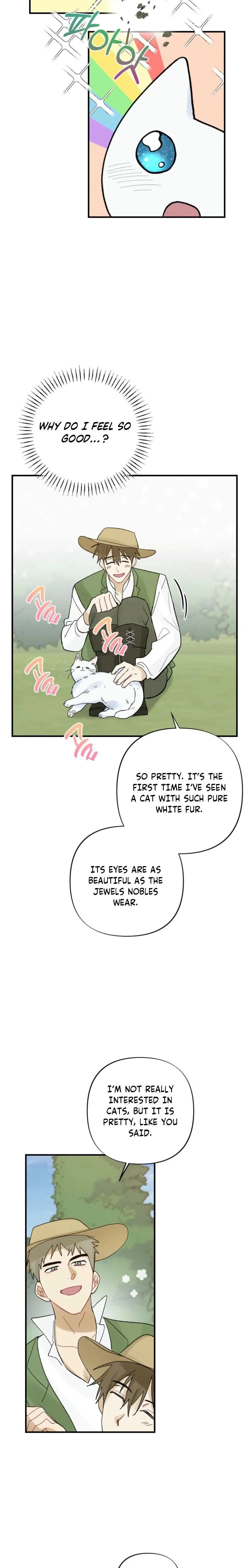 Chapter 3, page 21