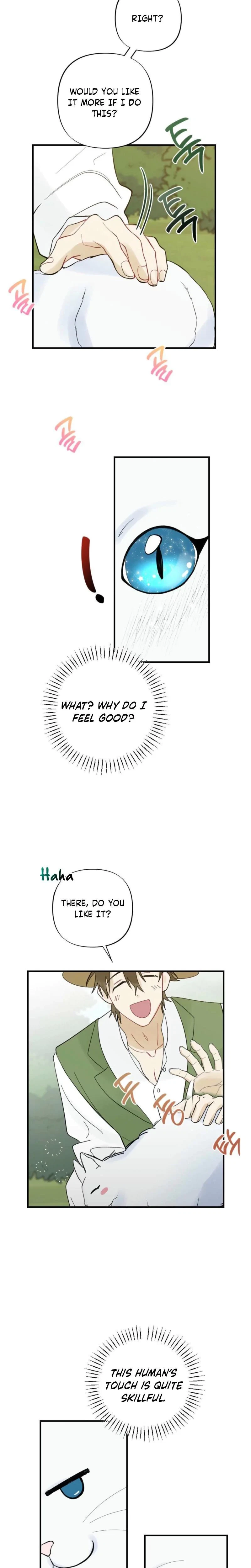 Chapter 3, page 22