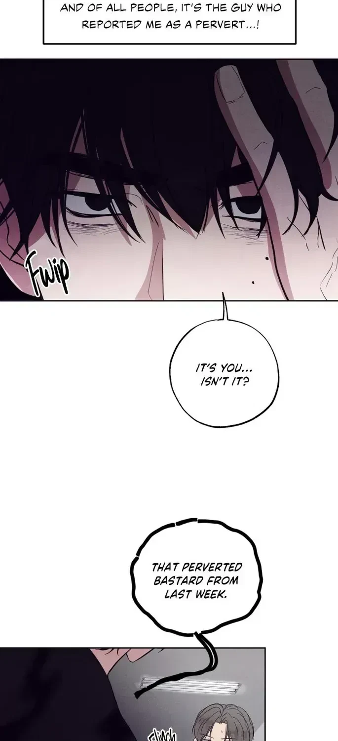 Chapter 3.3, page 19