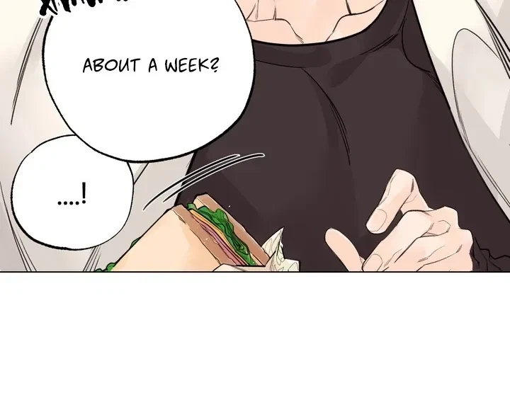 Chapter 8, page 80
