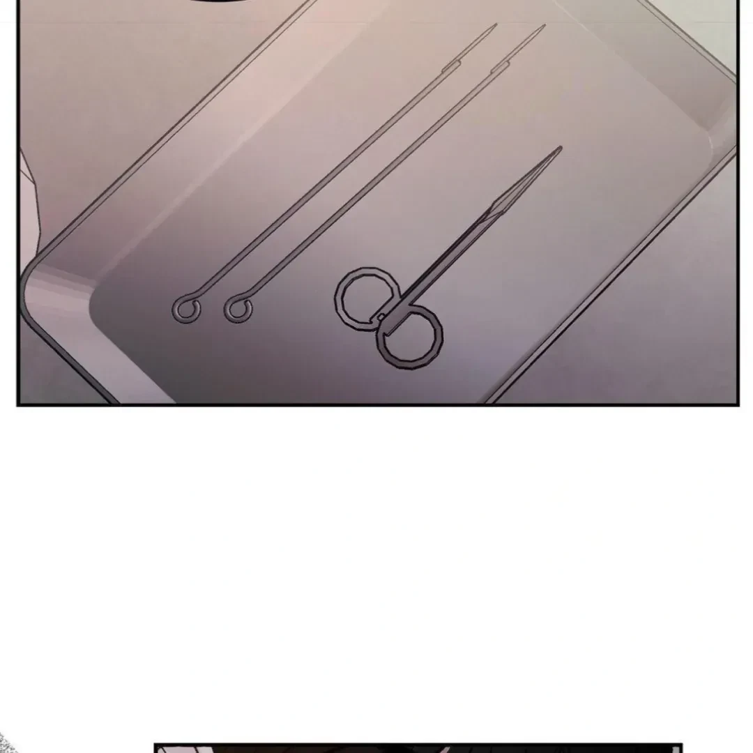Chapter 2, page 21