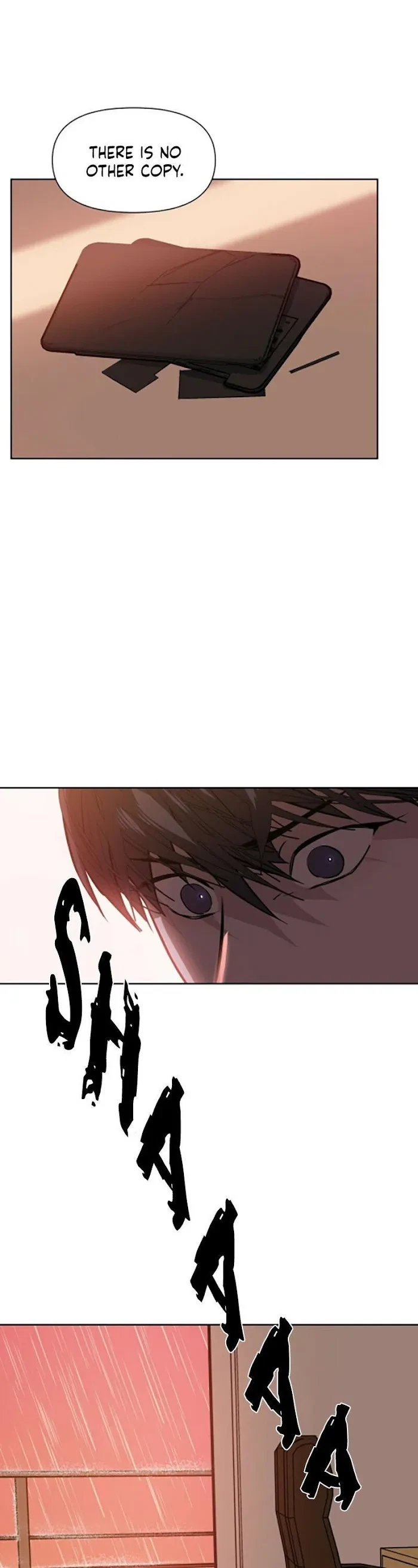 Chapter 3, page 20