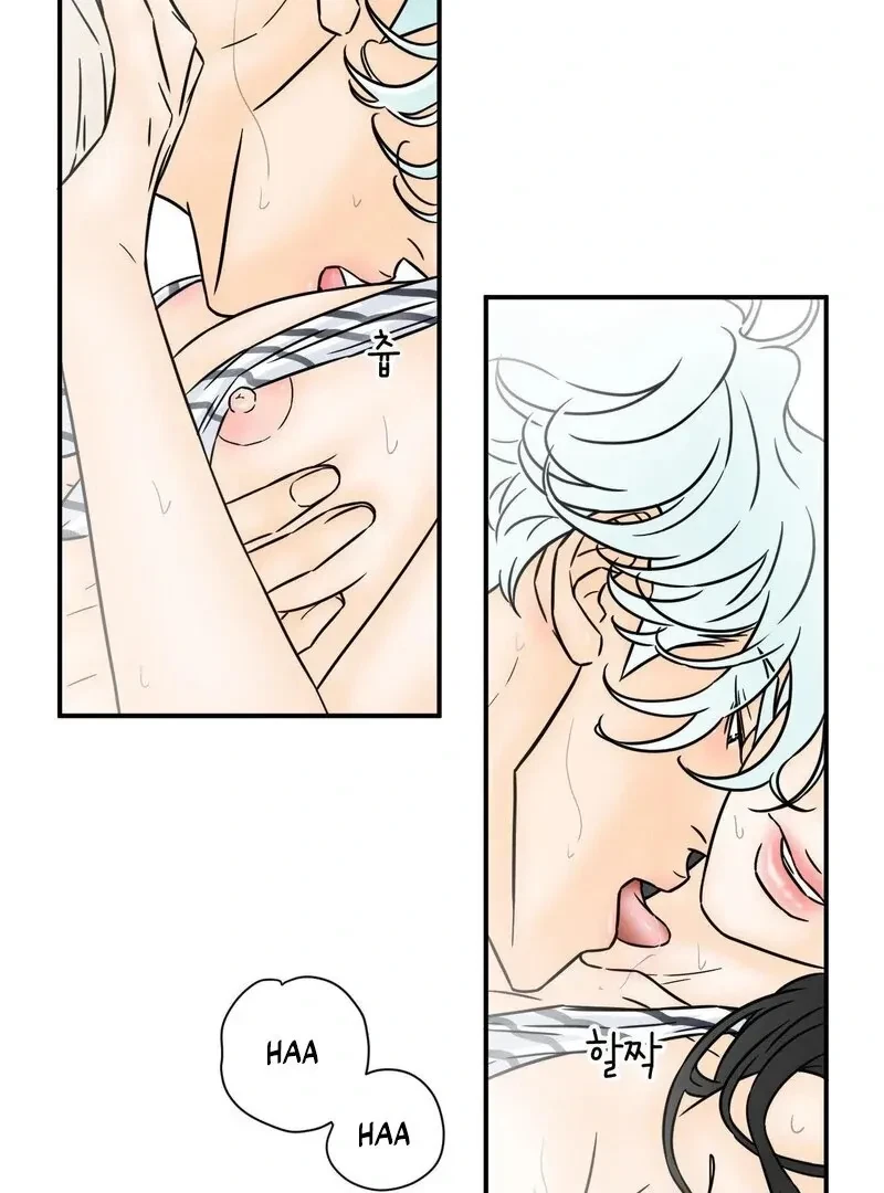 Chapter 1, page 62