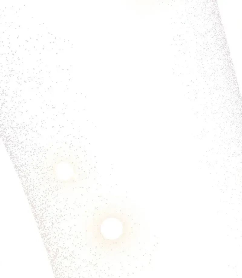 Chapter 4, page 11