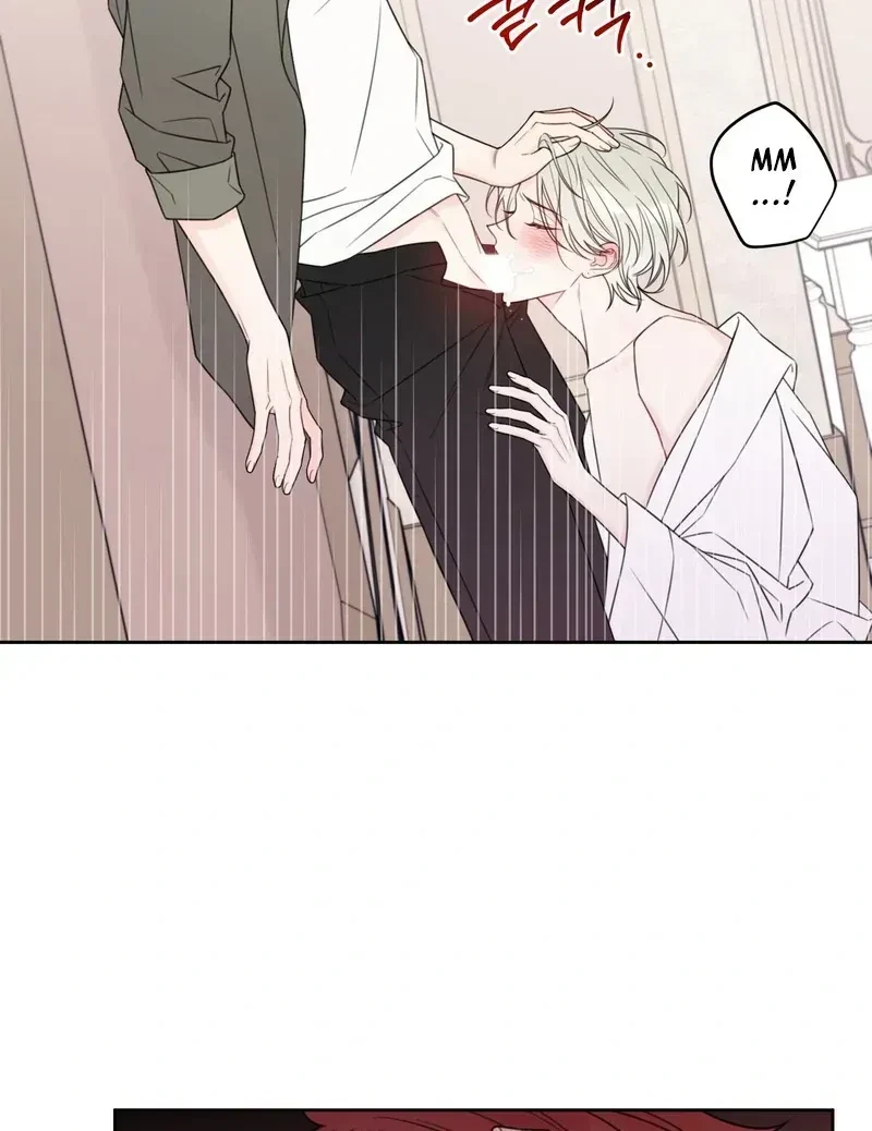 Chapter 1.1, page 13