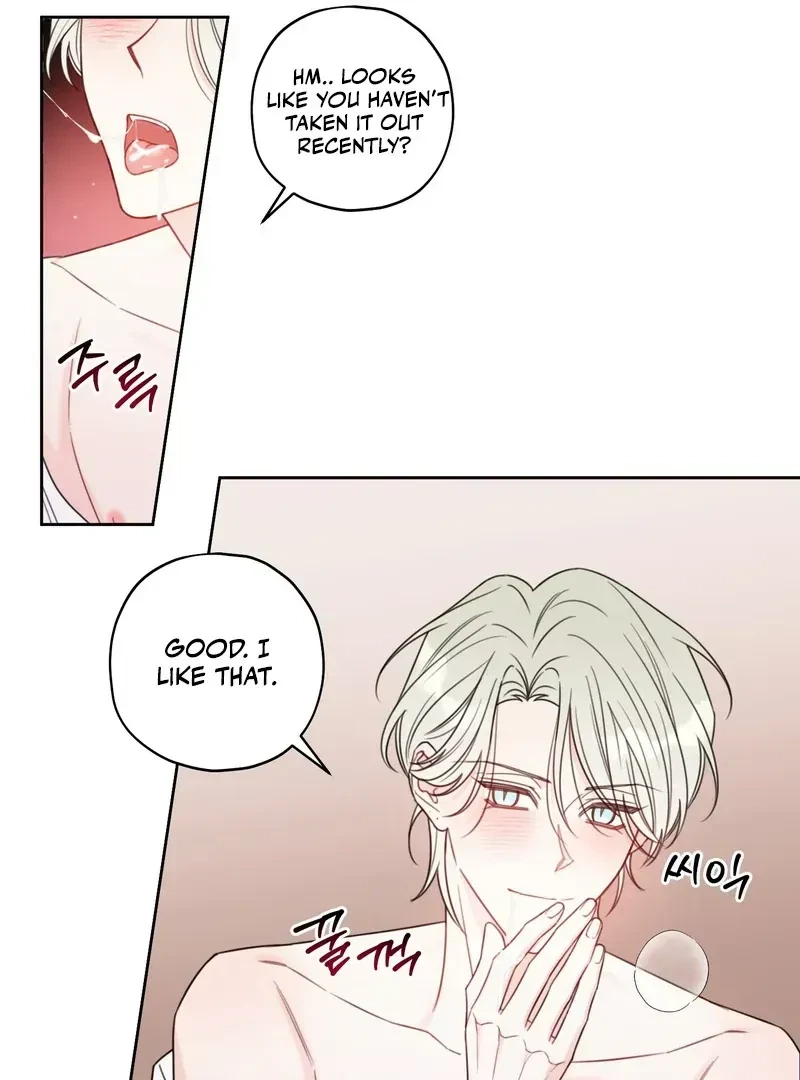 Chapter 1.1, page 15