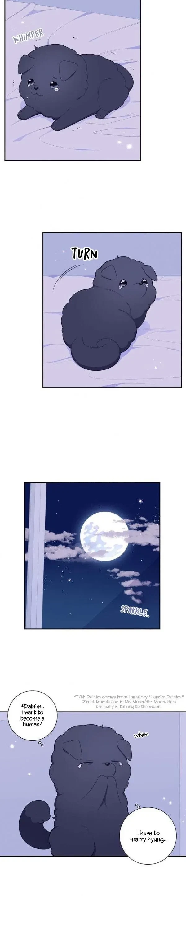 Chapter special, page 14