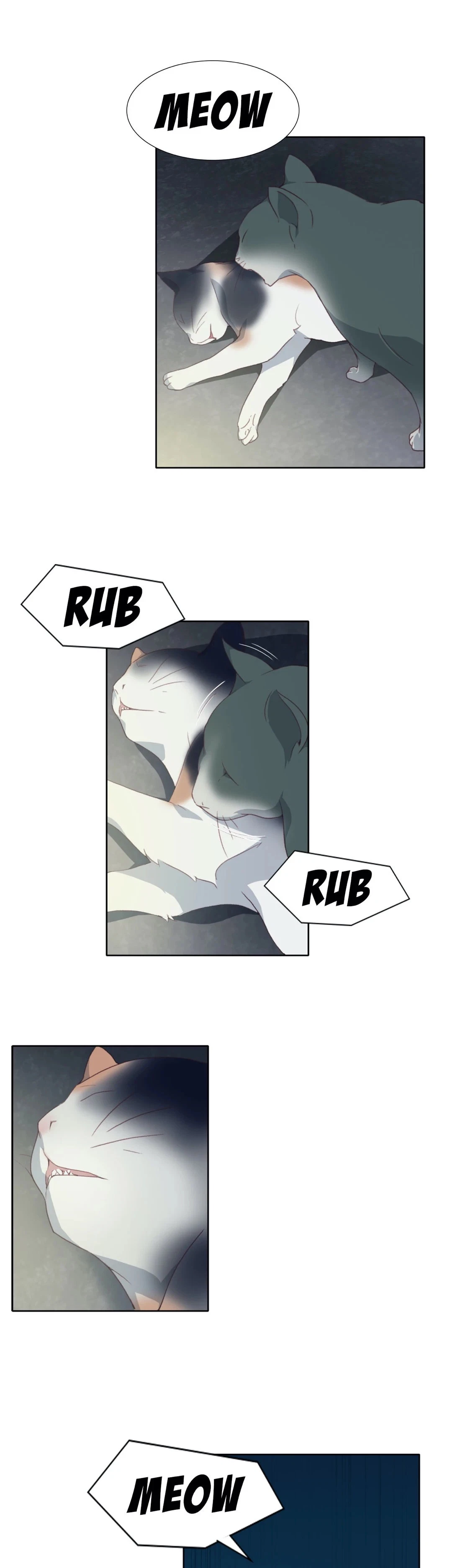 Chapter 6, page 15